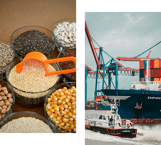 Well Safe Exim agro products