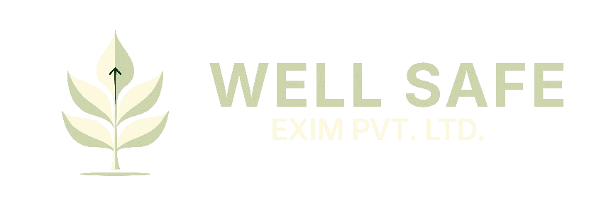 Well Safe Exim footer logo