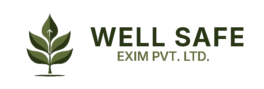 Well Safe Exim Pvt Ltd Logo