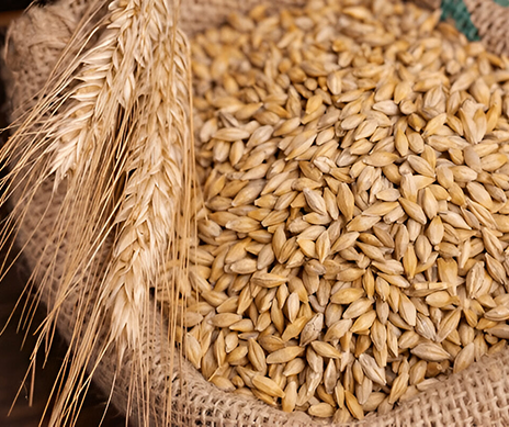 Wheat Millbar